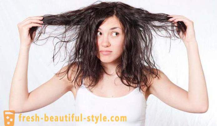 Shampoo eficaz para cabelos oleosos: comentários, tipos e fabricantes
