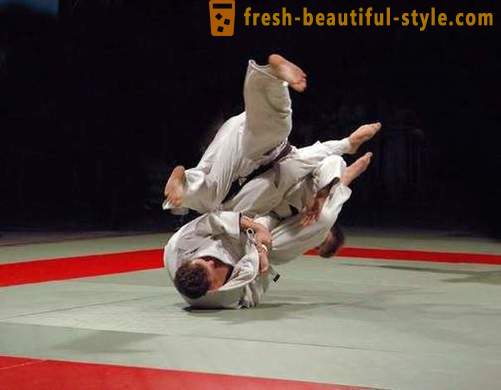 Tipos japonesas de artes marciais: a descrição, características e fatos interessantes
