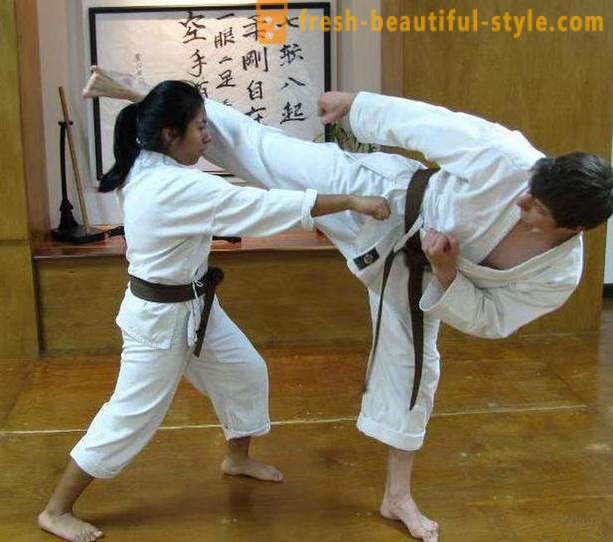 Tipos japonesas de artes marciais: a descrição, características e fatos interessantes