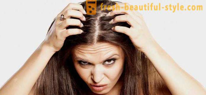 Por rápido zhirneyut cabelo? As possíveis razões, características e métodos de tratamento
