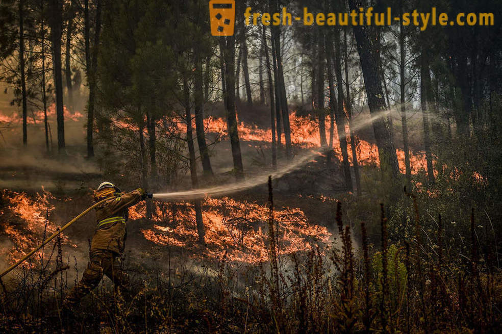 Como para extinguir incêndios em Portugal