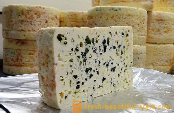O processo de queijo Roquefort francês a partir de receitas antigas fabricação