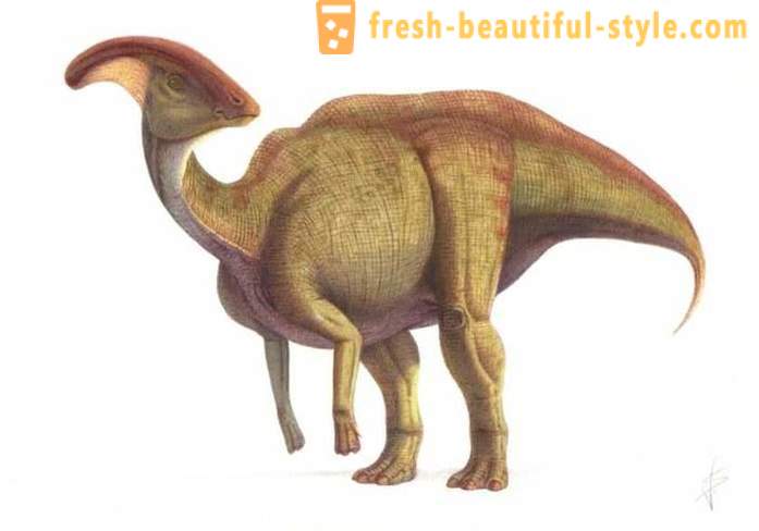 Achados únicos associados com dinossauros