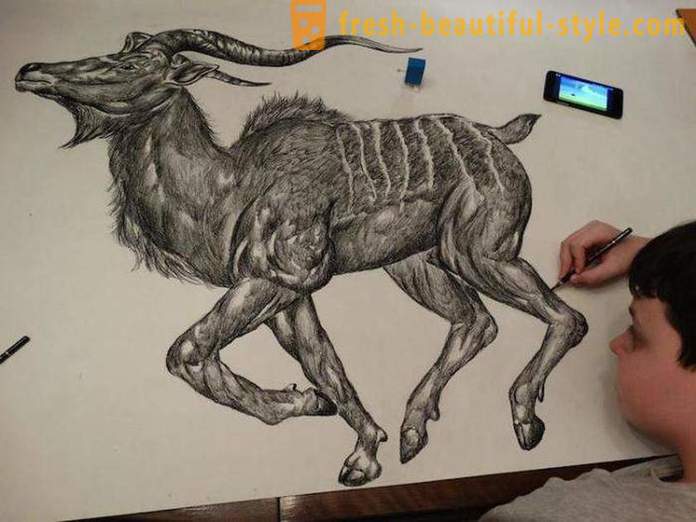 Adolescente sérvio desenha retratos atordoamento dos animais por meio de um lápis ou caneta esferográfica