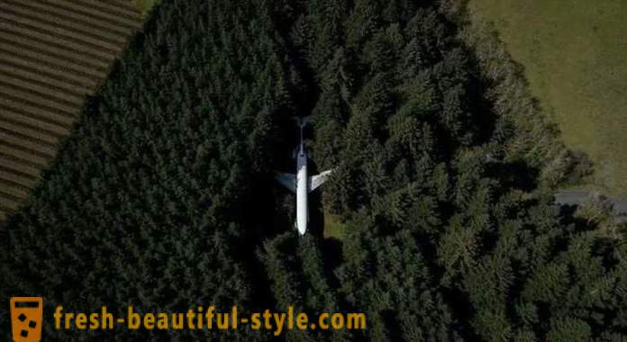 Americanos, 15 anos de vida em um avião no meio da floresta