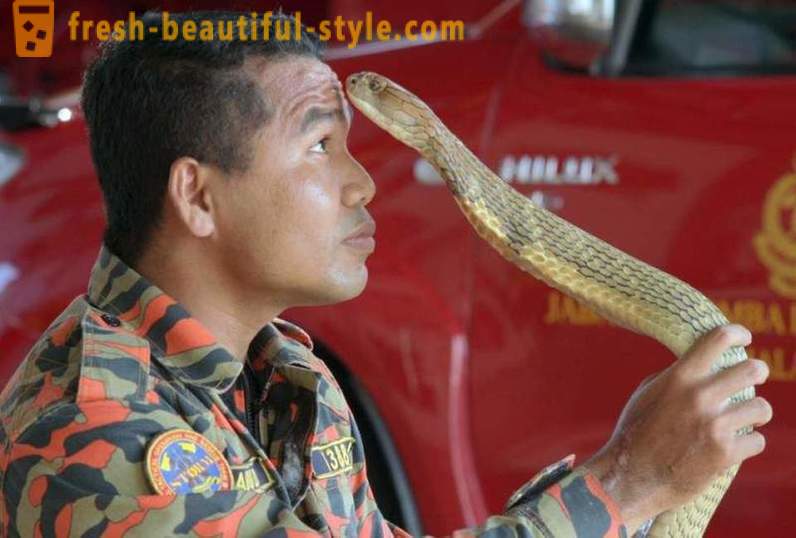 O domador famosa de cobras morreram por causa da mordida