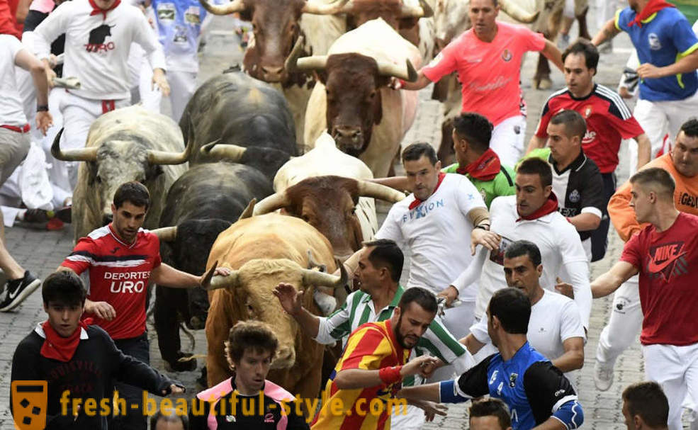Como foi a corrida anual de touros em Pamplona, ​​Espanha
