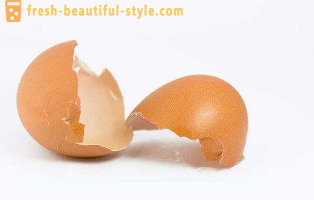 O uso da casca do ovo em casa