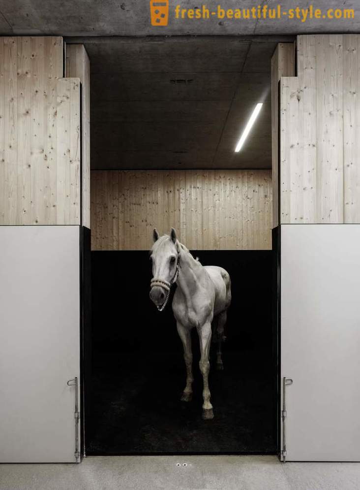 Projeto da clínica veterinária para cavalos na Áustria