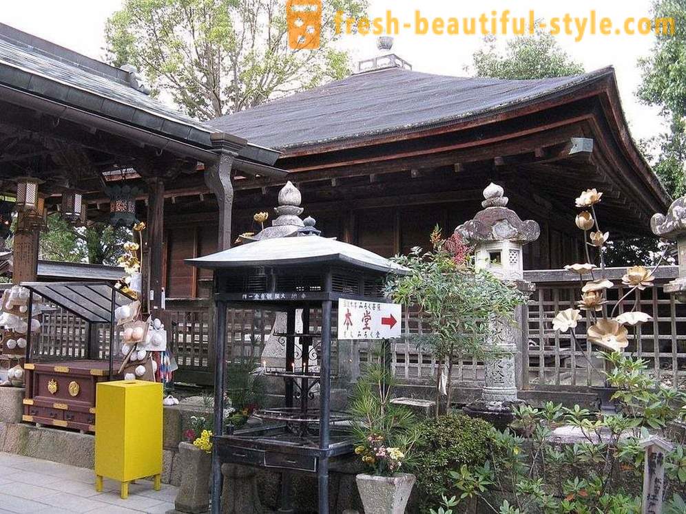 No Japão, há um templo dedicado ao peito feminino, e isso é bom