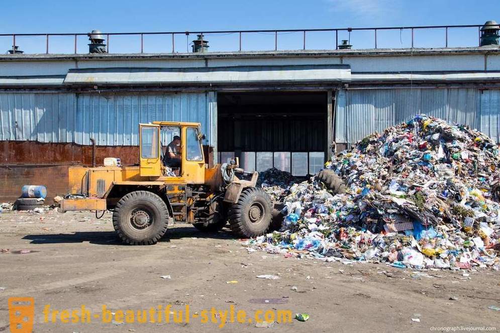 Como reciclar o lixo em Togliatti