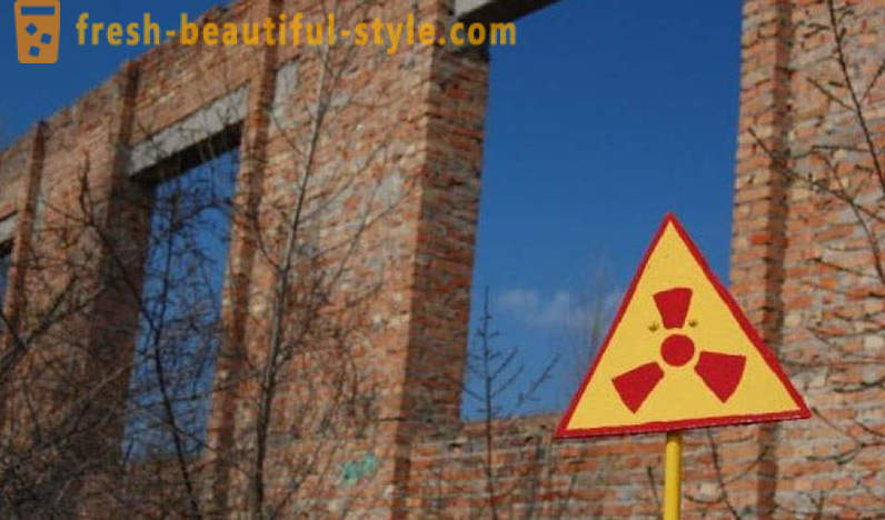 Cesta Nuclear: o que cresce em Chernobyl