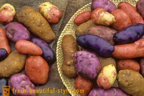 O que você precisa saber sobre cada batata