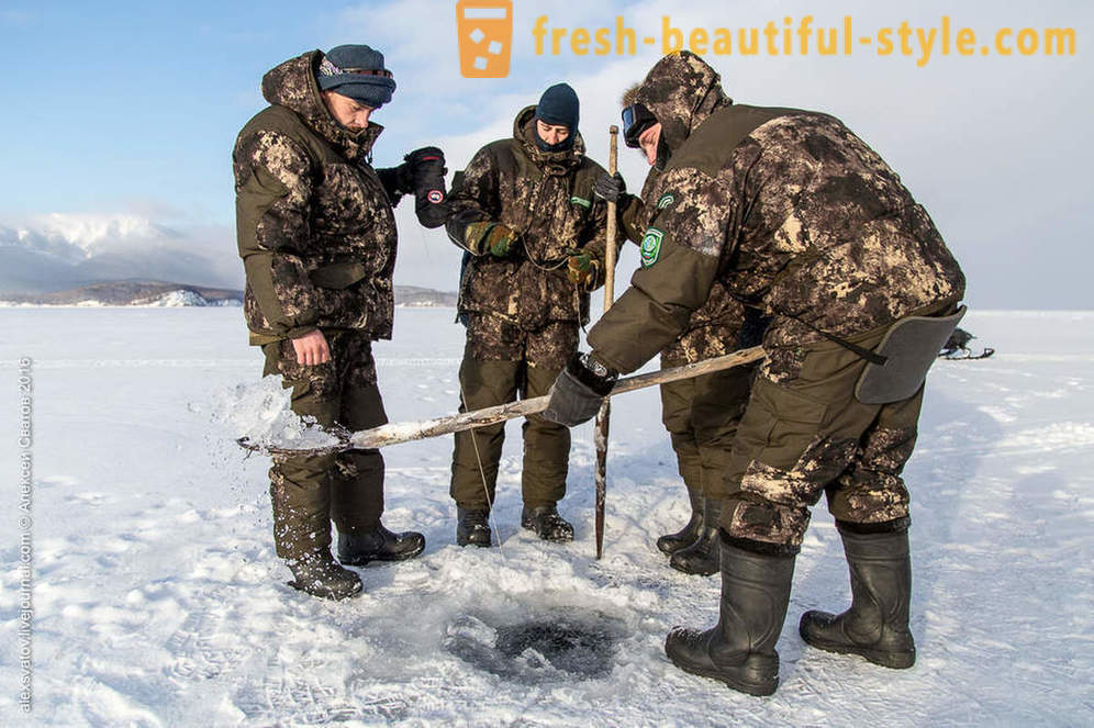 Como rybinspektory em Baikal