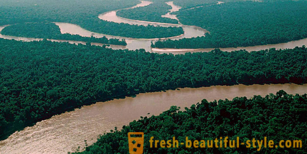 Amazon - maravilha natural do mundo