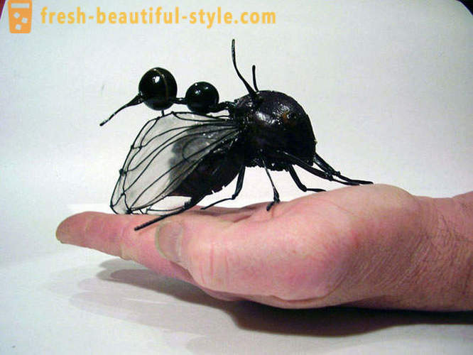 10 dos mais terríveis besouros planeta