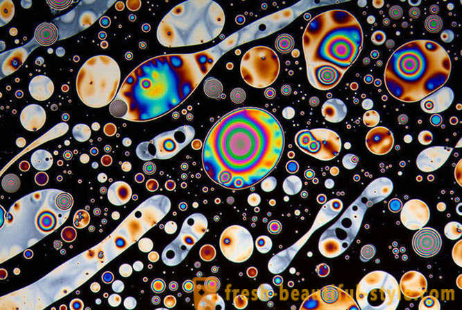 Microscópio nas mãos do fotógrafo