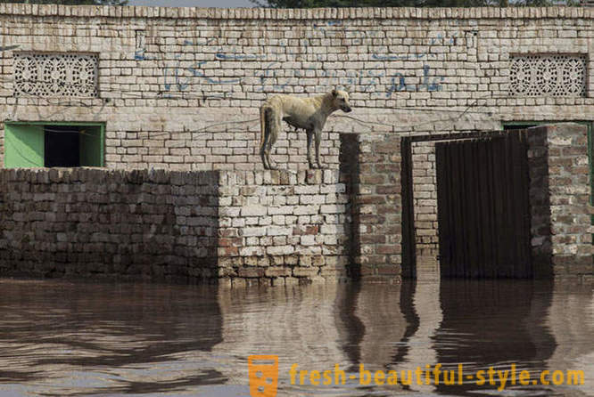 Inundação histórica na Índia e no Paquistão