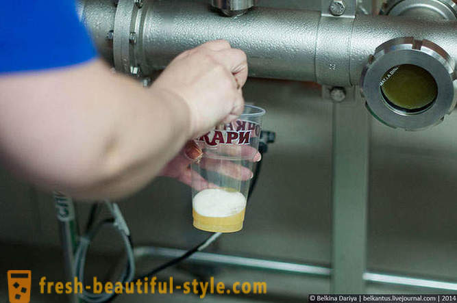 Como fazer cerveja no Território de Altai