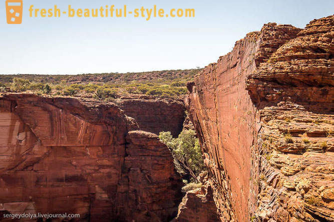 Caminhe pelo Kings Canyon na Austrália