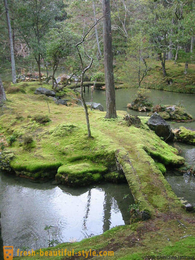 Jardim Moss no Japão