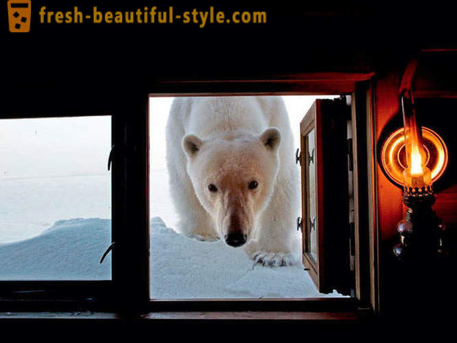 Melhores fotos da National Geographic 2012