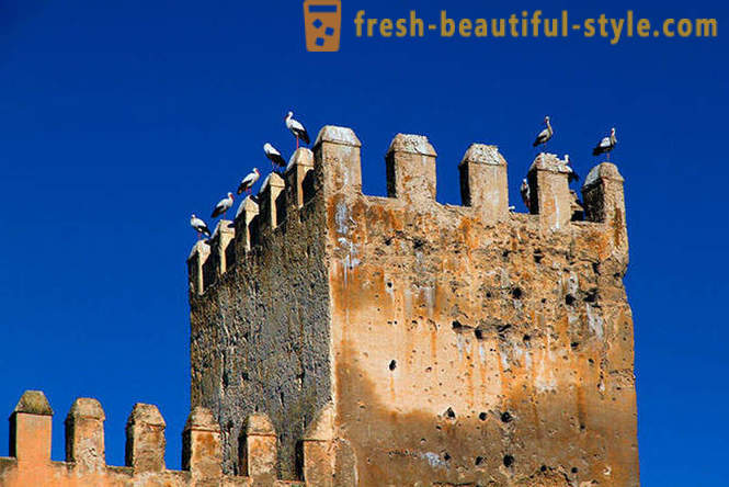 Fez - a mais antiga das cidades imperiais de Marrocos