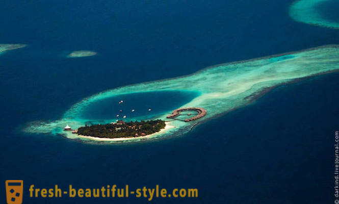 Voando sobre as Maldivas por hidroavião