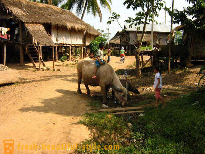 GeoFresher - Como viver em Laos