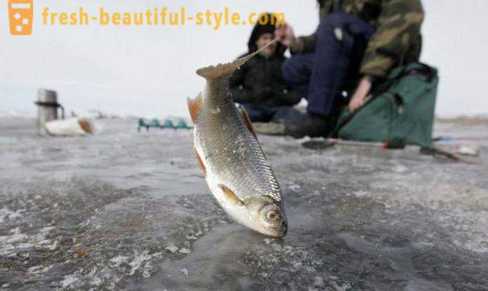 Pesca em Khanty-Mansiysk. Rio Khanty-Mansiysk