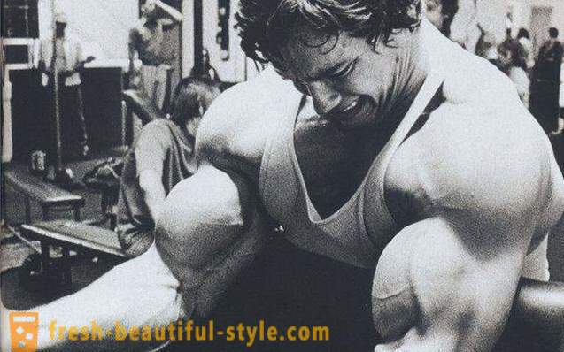 O melhor exercício para o bíceps - uma descrição, recomendações e comentários