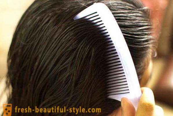 Cabelo secador de cabelo pente: dicas para escolher