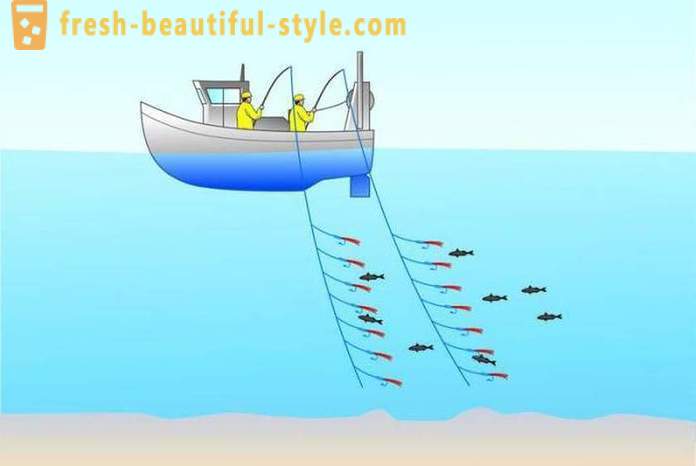 Trolling: pesca para iniciantes. barco de pesca pesca