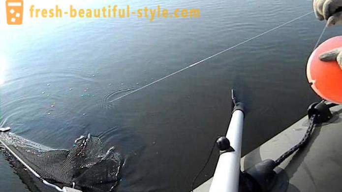 Catching círculo pique: As características do método. pesca Pike nos círculos no rio, no lago