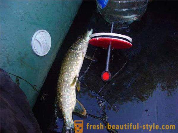 Catching círculo pique: As características do método. pesca Pike nos círculos no rio, no lago