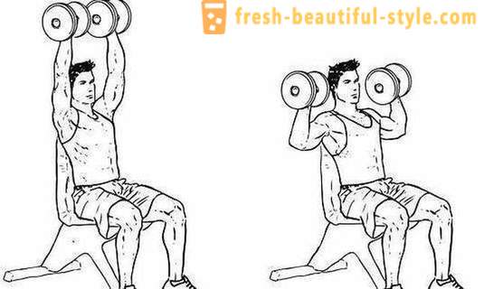 Exercícios com halteres para os ombros para homens e mulheres