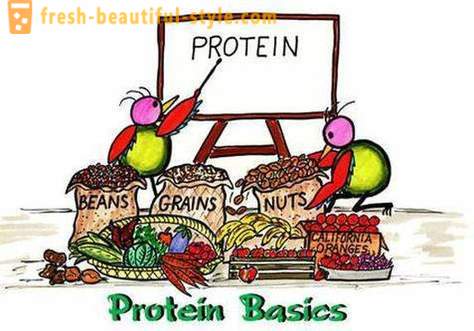 O que são proteínas? Quem e como tomar proteína