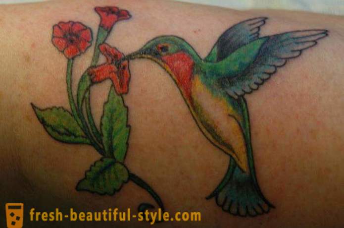 Tatuagem Hummingbird - um símbolo de vitalidade e energia