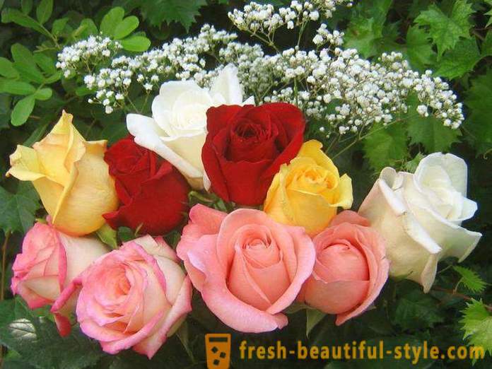 Bouquet de rosas bonitas em um presente