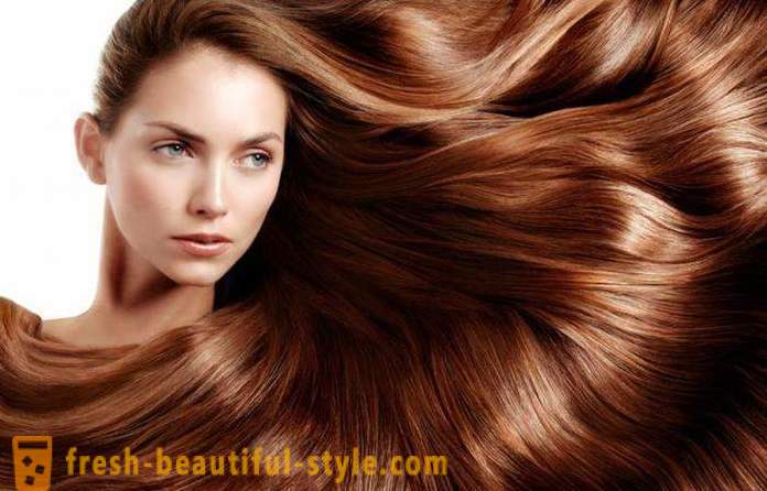O óleo de mamona para o cabelo: analisa o pedido. que significa como usar corretamente?