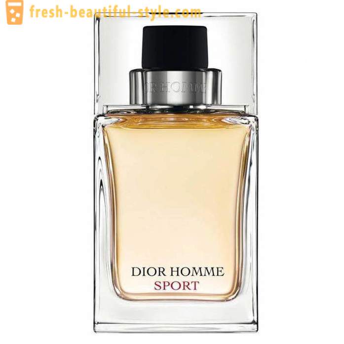 Homens Dior Homme Sport: descrição, comentários