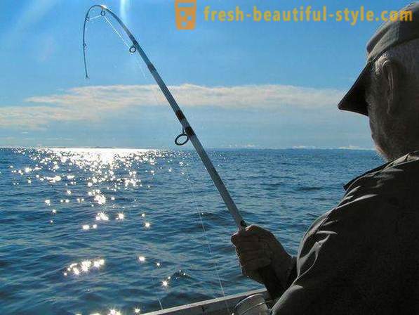 Eu gosto de pescar? Pesca no lago, o rio eo mar. Como pescar com fiação?