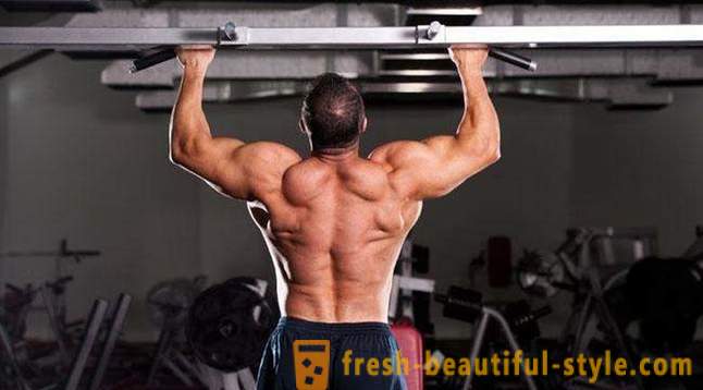 Os melhores exercícios para os músculos das costas