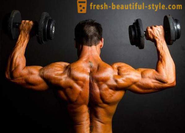 Como ganhar massa muscular através de treinamento