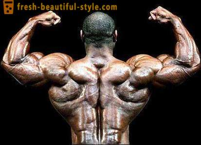 Como fortalecer os músculos das costas, peito e braços