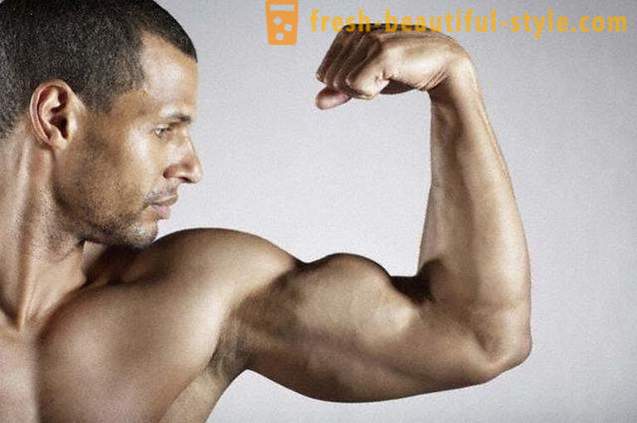 Exercícios para o bíceps simples e eficaz
