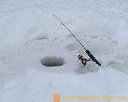 Pesca emocionante para as carpas no inverno
